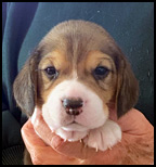 Boy 4 Front Wk 4